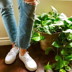 White Authentic Vans